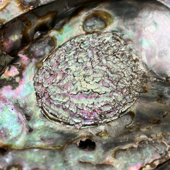 Hand Crafted Smudge Kit Natural Wood Stand - Picture 11 of 13